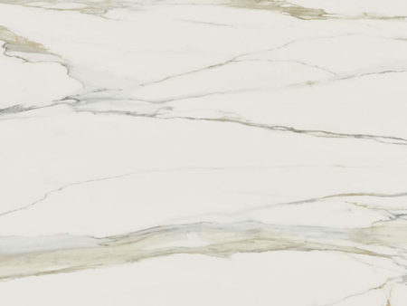Florim Stone | Marble Calacatta Gold B
